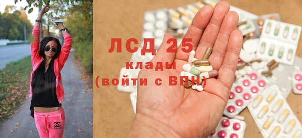 сатива Волосово